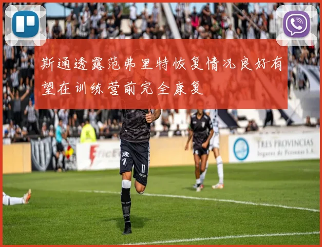 斯通透露范弗里特恢复情况良好有望在训练营前完全康复